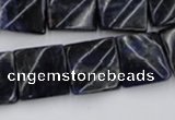 CTW355 15.5 inches 16*16mm twisted square sodalite gemstone beads