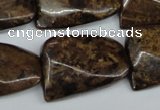 CTW410 15.5 inches 22*30mm twisted bronzite gemstone beads