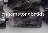 CTW453 20*38mm faceted & twisted rectangle dogtooth amethyst beads