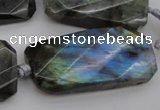 CTW457 20*38mm faceted & twisted rectangle labradorite beads