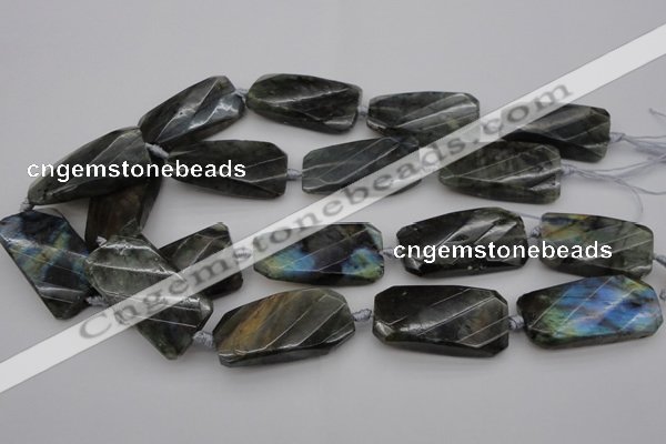 CTW457 20*38mm faceted & twisted rectangle labradorite beads