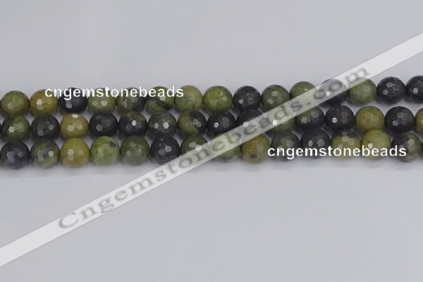 CUJ103 15.5 inches 10mm faceted round African green autumn jasper beads