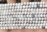 CWB250 15.5 inches 4mm round matte white howlite beads wholesale