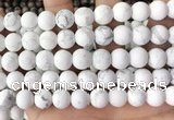 CWB253 15.5 inches 10mm round matte white howlite beads wholesale