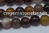 CWJ502 15.5 inches 8mm round Xinjiang wood jasper beads wholesale