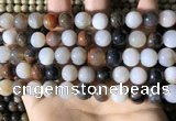 CWJ571 15.5 inches 10mm round Arizona petrified wood jasper beads