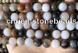 CWJ572 15.5 inches 12mm round Arizona petrified wood jasper beads