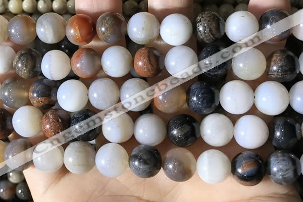 CWJ572 15.5 inches 12mm round Arizona petrified wood jasper beads