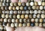 CWJ592 15.5 inches 8mm round wood jasper beads wholesale