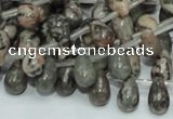 CZJ15 16 inches 6*8mm teardrop zebra jasper gemstone beads wholesale