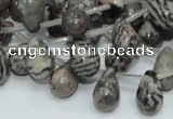 CZJ16 16 inches 8*12mm teardrop zebra jasper gemstone beads wholesale