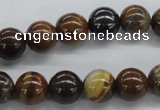 CZJ171 15.5 inches 10mm round iron zebra jasper beads wholesale