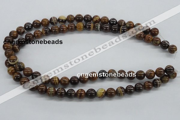 CZJ171 15.5 inches 10mm round iron zebra jasper beads wholesale