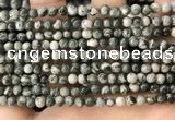 CZJ410 15.5 inches 4mm round green zebra jasper beads wholesale