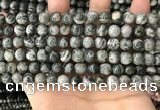 CZJ411 15.5 inches 6mm round green zebra jasper beads wholesale