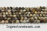 CZJ421 15.5 inches 6mm round Australian zebra jasper beads wholesale