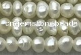 FWP07 14.5 inches 2mm - 3mm potato white freshwater pearl strands