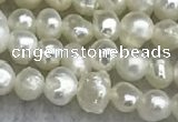 FWP11 14.5 inches 2.8mm potato white freshwater pearl strands