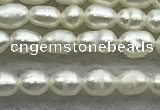 FWP154 14.5 inches 2mm - 3mm rice white freshwater pearl strands