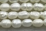 FWP157 14.5 inches 3mm - 4mm rice white freshwater pearl strands