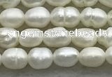 FWP157 14.5 inches 3mm - 4mm rice white freshwater pearl strands