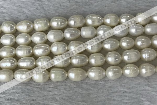 FWP190 15 inches 7mm - 8mm rice white freshwater pearl strands