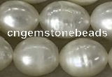 FWP200 15 inches 8mm - 9mm rice white freshwater pearl strands