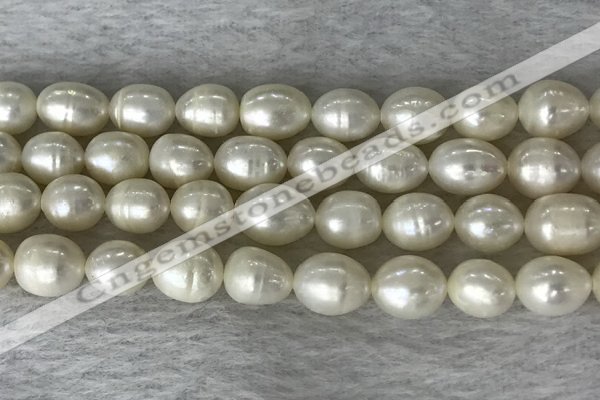 FWP200 15 inches 8mm - 9mm rice white freshwater pearl strands