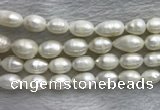 FWP205 15 inches 10mm - 11mm rice white freshwater pearl strands