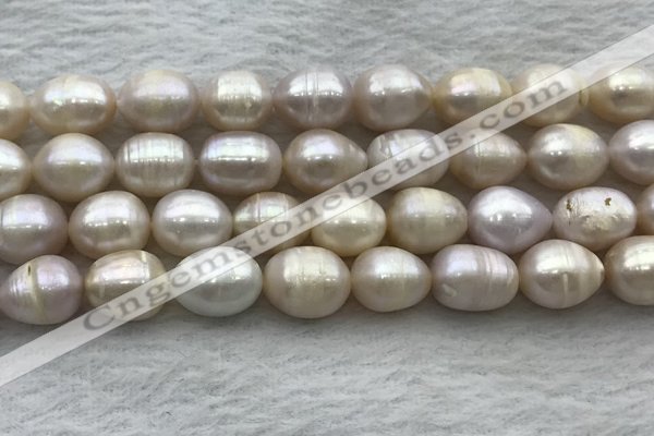 FWP206 15 inches 10mm - 11mm rice white freshwater pearl strands