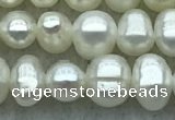 FWP28 14.5 inches 4.8mm potato white freshwater pearl strands