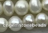 FWP44 14.5 inches 5mm - 5.5mm potato white freshwater pearl strands