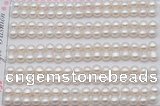 FWP454 half-drilled 5-5.5mm bread freshwater pearl beads