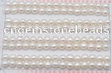 FWP455 half-drilled 5.5-6mm bread freshwater pearl beads