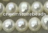 FWP46 14.5 inches 5mm - 6mm potato white freshwater pearl strands