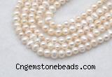 FWP480 14 inches 5mm - 6mm potato white freshwater pearl strands