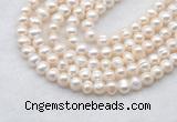 FWP481 14 inches 6mm - 7mm potato white freshwater pearl strands