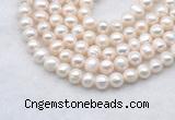 FWP482 14 inches 7mm - 8mm potato white freshwater pearl strands