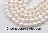 FWP484 14.5 inches 9mm - 10mm potato white freshwater pearl strands