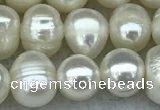 FWP55 15 inches 6mm - 7mm potato white freshwater pearl strands