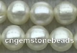 FWP72 15 inches 7mm - 8mm potato white freshwater pearl strands