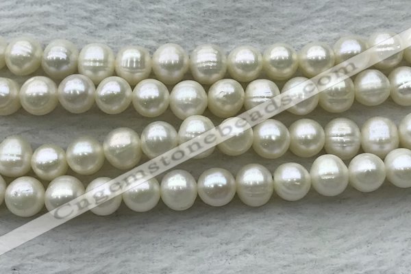 FWP80 15 inches 7mm - 8mm potato white freshwater pearl strands