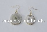 NGE120 8*12mm - 12*16mm freeform druzy agate gemstone earrings