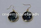 NGE275 25mm flat round agate gemstone earrings wholeasle