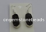 NGE5127 10*22mm - 12*25mm freeform plated druzy quartz earrings