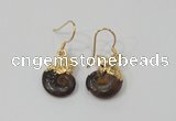 NGE56 12*16mm - 13*18mm ammonite gemstone earrings wholesale