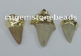 NGP1677 18*25mm - 22*30mm shark teeth pendants wholesale