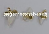 NGP2320 18*25mm - 25*30mm teeth-shaped shell pendants