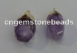 NGP6020 18*30mm - 22*35mm freeform amethyst pendants