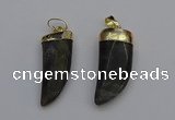 NGP7038 12*35mm - 14*40mm horn labradorite pendants wholesale